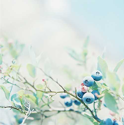 A Level后英国大学补录查询方式AOLevel考试资讯网_A-Level与O-Level考试培训网