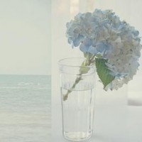 A-Level物理考试与高考物理有何区别？AOLevel考试资讯网_A-Level与O-Level考试培训网