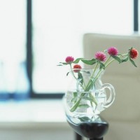 A-Level课程：法律到底考什么？AOLevel考试资讯网_A-Level与O-Level考试培训网