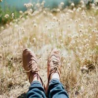 A-Level选课：最受欢迎的十大课程AOLevel考试资讯网_A-Level与O-Level考试培训网