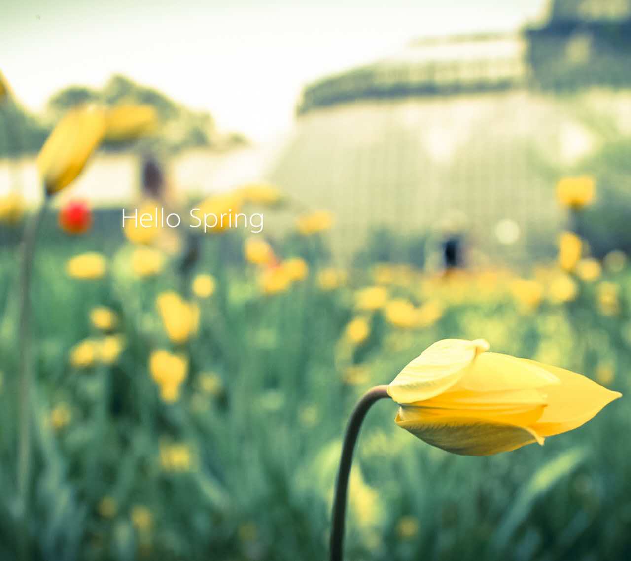 A-Level考试：G5学校剑桥大学AOLevel考试资讯网_A-Level与O-Level考试培训网