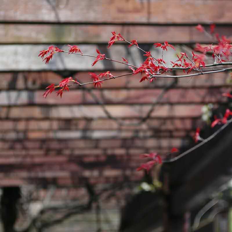 A-Level考试：G5学校牛津大学AOLevel考试资讯网_A-Level与O-Level考试培训网