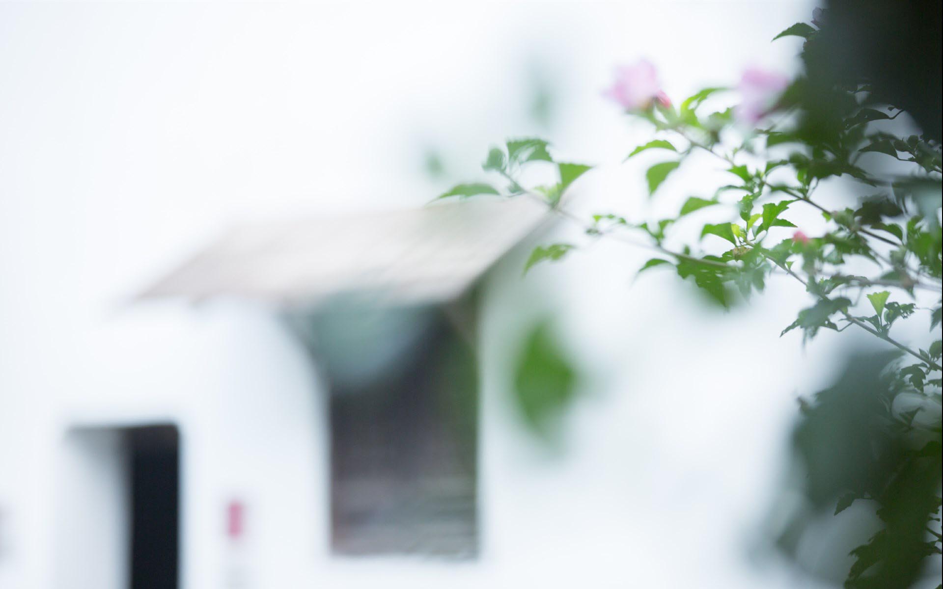 A-Level考试究竟是选MAT，还是STEP呢？AOLevel考试资讯网_A-Level与O-Level考试培训网