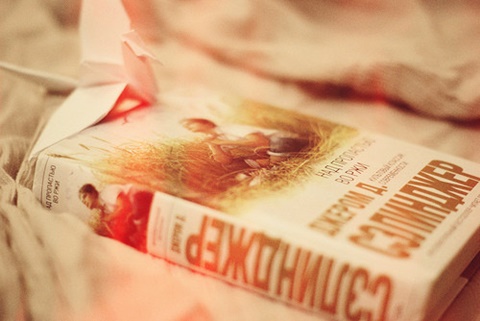  如何在学好国际课程物理？(三)AOLevel考试资讯网_A-Level与O-Level考试培训网