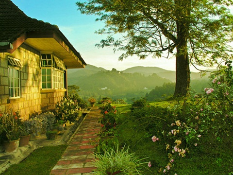 A-level考试留学你该先选什么？AOLevel考试资讯网_A-Level与O-Level考试培训网