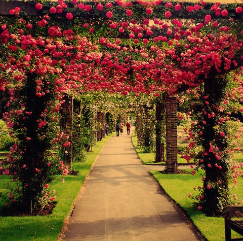 有了ta 英语水平瞬间拔升！（三）AOLevel考试资讯网_A-Level与O-Level考试培训网