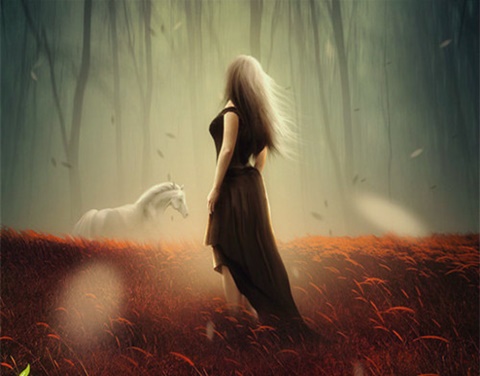   如何走出A-level课程4大误区？（二）AOLevel考试资讯网_A-Level与O-Level考试培训网