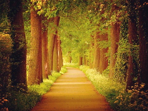 留学英国经验谈（一）AOLevel考试资讯网_A-Level与O-Level考试培训网