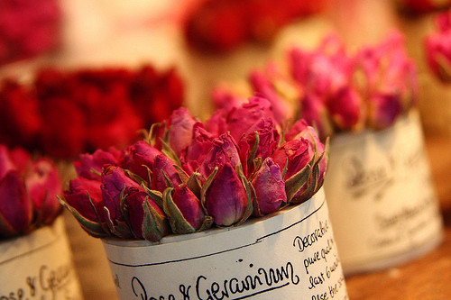  美国十大“高富帅”大学（三） AOLevel考试资讯网_A-Level与O-Level考试培训网