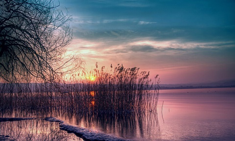  中国教育部认可的英国大学名单！（三）AOLevel考试资讯网_A-Level与O-Level考试培训网