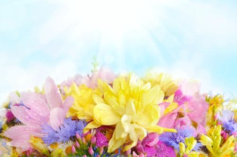  超级快速签证服务 可享受了欧~（二）AOLevel考试资讯网_A-Level与O-Level考试培训网