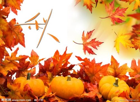  留学机票小贴士（四）AOLevel考试资讯网_A-Level与O-Level考试培训网