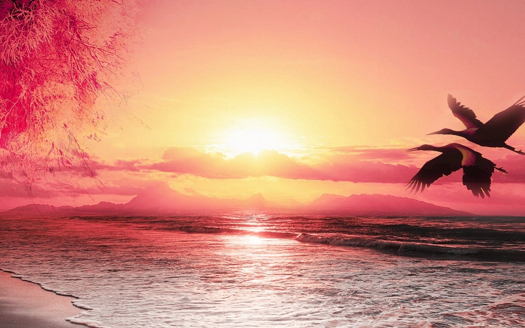 美国学费亲民的大学 竟然有他！（一）AOLevel考试资讯网_A-Level与O-Level考试培训网