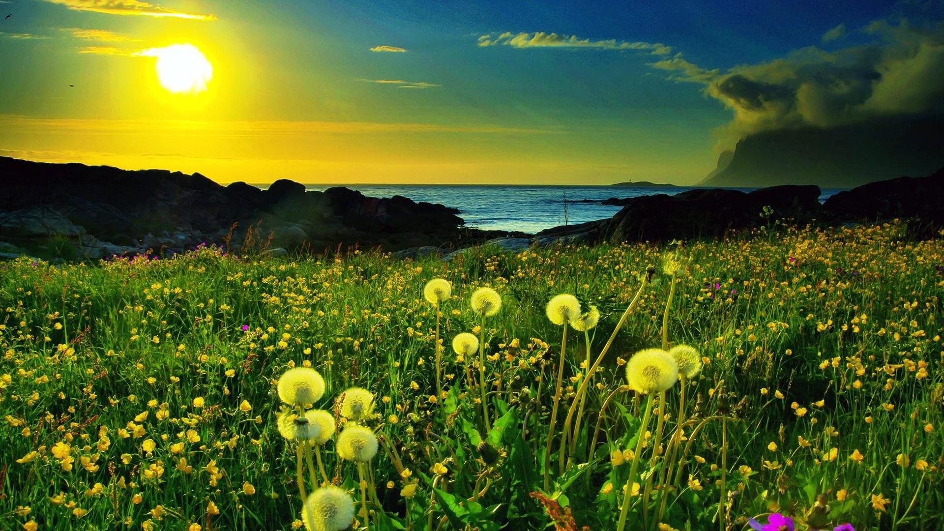  美国学费亲民的大学 竟然有他！（二） AOLevel考试资讯网_A-Level与O-Level考试培训网