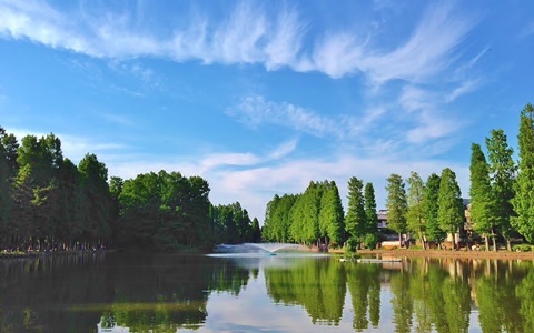  美国学费亲民的大学 竟然有他！（七）AOLevel考试资讯网_A-Level与O-Level考试培训网