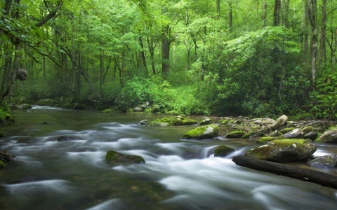  美国学费亲民的大学 竟然有他！（八）AOLevel考试资讯网_A-Level与O-Level考试培训网