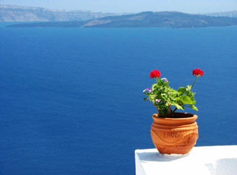 常春藤联盟 八所大学各有千秋（一）AOLevel考试资讯网_A-Level与O-Level考试培训网