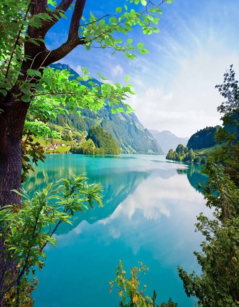  英国租房必备网站（二）AOLevel考试资讯网_A-Level与O-Level考试培训网