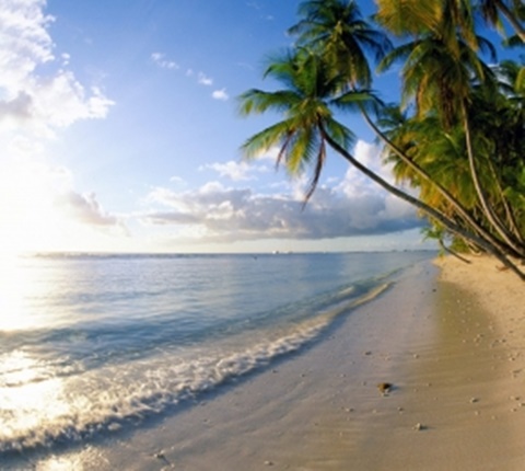 融入美国同学 太难？因为你没注意这些（一）AOLevel考试资讯网_A-Level与O-Level考试培训网