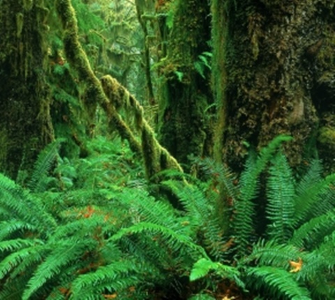  融入美国同学 太难？因为你没注意这些（二）AOLevel考试资讯网_A-Level与O-Level考试培训网