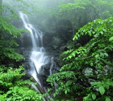  融入美国同学 太难？因为你没注意这些（三） AOLevel考试资讯网_A-Level与O-Level考试培训网