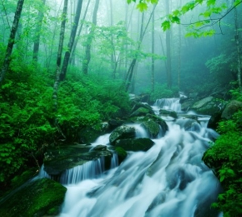  融入美国同学 太难？因为你没注意这些（五） AOLevel考试资讯网_A-Level与O-Level考试培训网