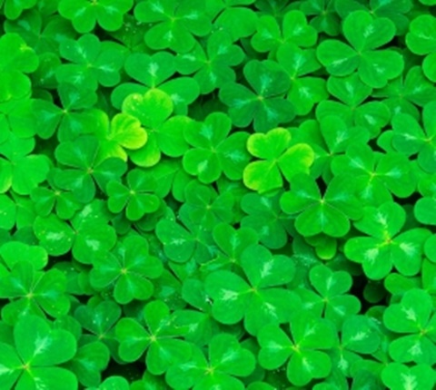  融入美国同学 太难？因为你没注意这些（六）AOLevel考试资讯网_A-Level与O-Level考试培训网