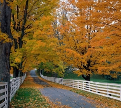 美国6所超高人气的宿舍（二）AOLevel考试资讯网_A-Level与O-Level考试培训网