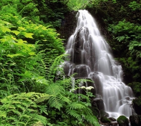 2018全美Top 100大学最低录取标准（一）AOLevel考试资讯网_A-Level与O-Level考试培训网