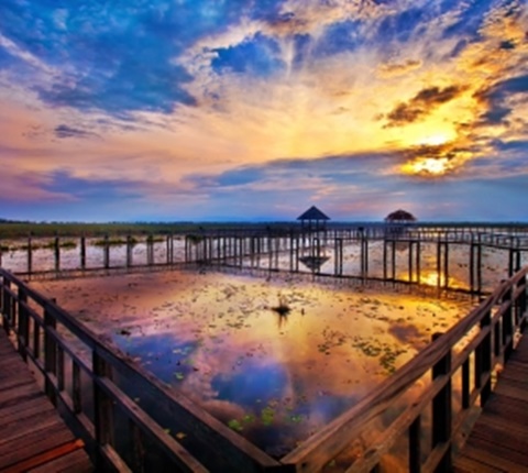  2018全美Top 100大学最低录取标准（四） AOLevel考试资讯网_A-Level与O-Level考试培训网