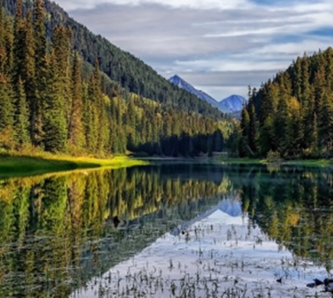  美国留学的你,不去看看这几条特色公路吗？（五）AOLevel考试资讯网_A-Level与O-Level考试培训网