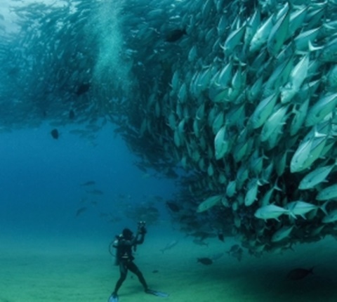  全美最物美价廉的6家超市（二）AOLevel考试资讯网_A-Level与O-Level考试培训网