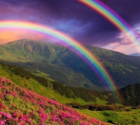  全美最物美价廉的6家超市（三）AOLevel考试资讯网_A-Level与O-Level考试培训网