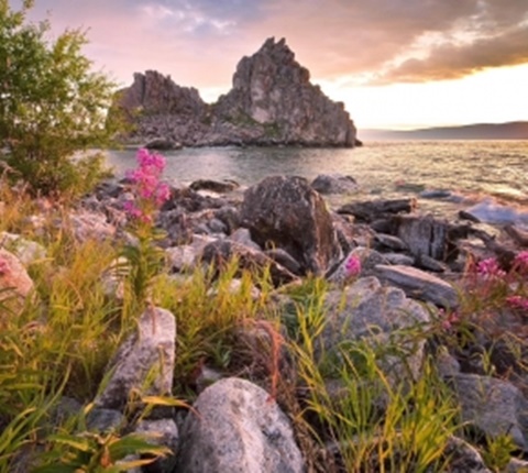  全美最物美价廉的6家超市（四）AOLevel考试资讯网_A-Level与O-Level考试培训网