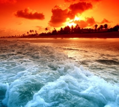 人气值爆棚的加州大学（一）AOLevel考试资讯网_A-Level与O-Level考试培训网