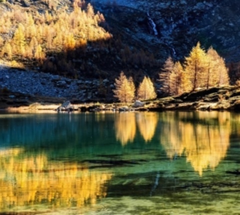  人气值爆棚的加州大学（二）AOLevel考试资讯网_A-Level与O-Level考试培训网