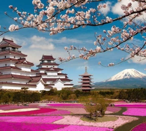  人气值爆棚的加州大学（四） AOLevel考试资讯网_A-Level与O-Level考试培训网