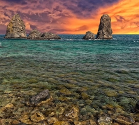  美国14所顶尖高校的推荐书单（二）AOLevel考试资讯网_A-Level与O-Level考试培训网