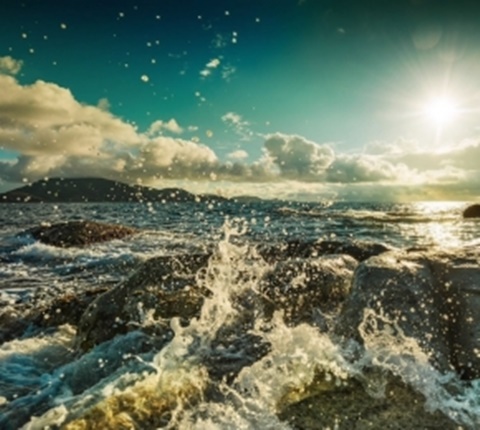 美国14所顶尖高校的推荐书单（四） AOLevel考试资讯网_A-Level与O-Level考试培训网