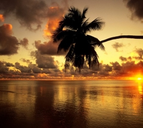 美国30个留学专业被亮"红牌"(一)AOLevel考试资讯网_A-Level与O-Level考试培训网