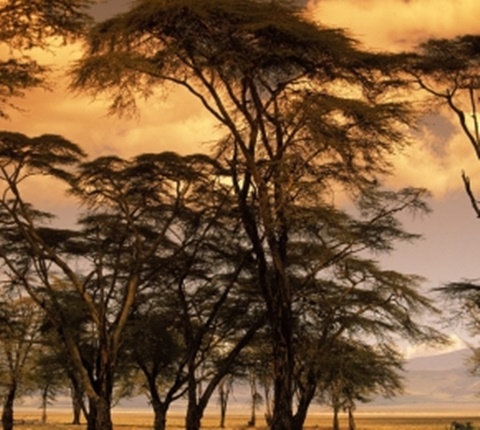  美国30个留学专业被亮"红牌"(二) AOLevel考试资讯网_A-Level与O-Level考试培训网