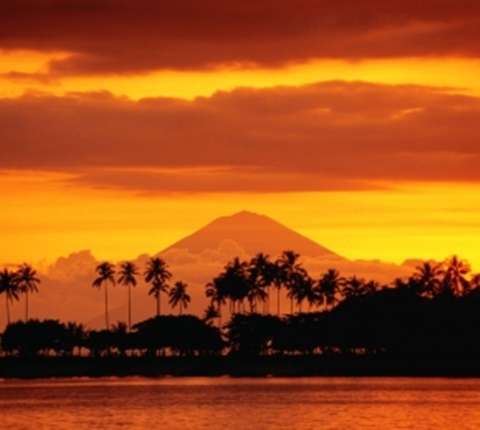  美国30个留学专业被亮"红牌"(六) AOLevel考试资讯网_A-Level与O-Level考试培训网