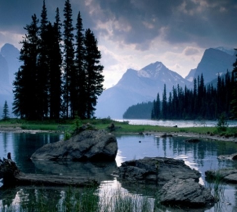  美国30个留学专业被亮"红牌"(七) AOLevel考试资讯网_A-Level与O-Level考试培训网