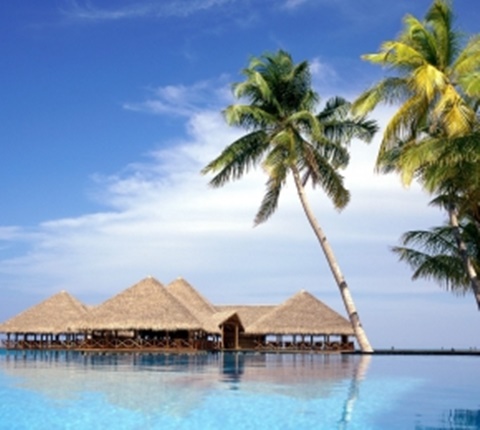  16部电影让你快速了解美国文化（三）AOLevel考试资讯网_A-Level与O-Level考试培训网