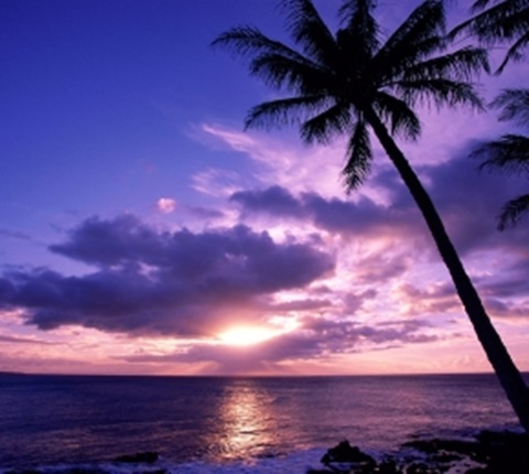  16部电影让你快速了解美国文化（五）AOLevel考试资讯网_A-Level与O-Level考试培训网