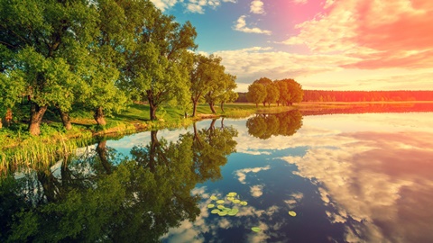  你为什么出国？（二） AOLevel考试资讯网_A-Level与O-Level考试培训网