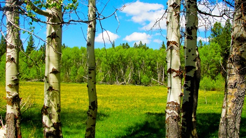  留学住宿的超实用总结（二）AOLevel考试资讯网_A-Level与O-Level考试培训网