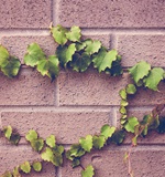 小编提醒你A-level培训申请要提前准备AOLevel考试资讯网_A-Level与O-Level考试培训网