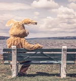 小编告诉你A-level相当于什么？AOLevel考试资讯网_A-Level与O-Level考试培训网