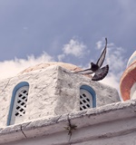 小编分享你一点A-level学习的经验AOLevel考试资讯网_A-Level与O-Level考试培训网